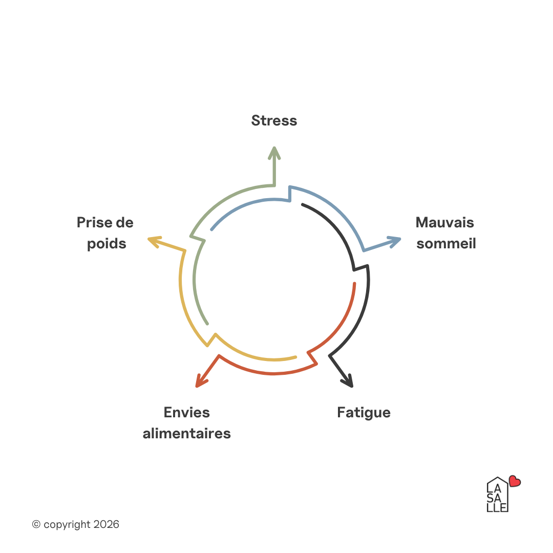 Illustration représentant le cercle vicieux entre perte de poids et stress - La Salle Pays de Gex