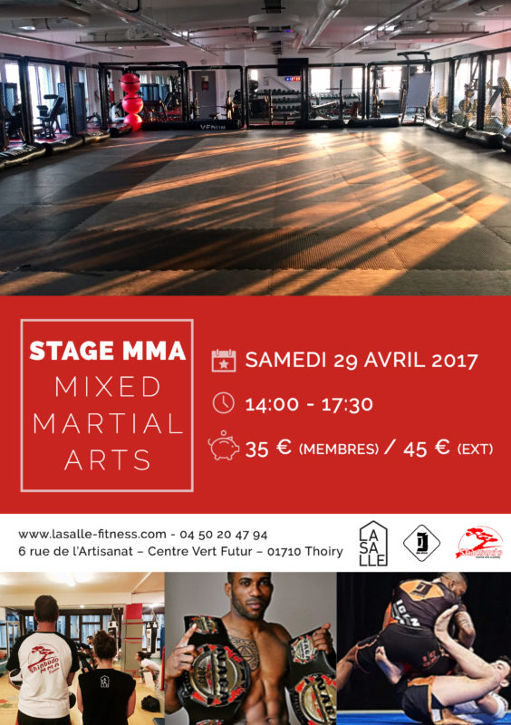 stage mma thoiry
